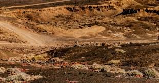 R星前技术总监：《GTA4》发售时曾令他失望